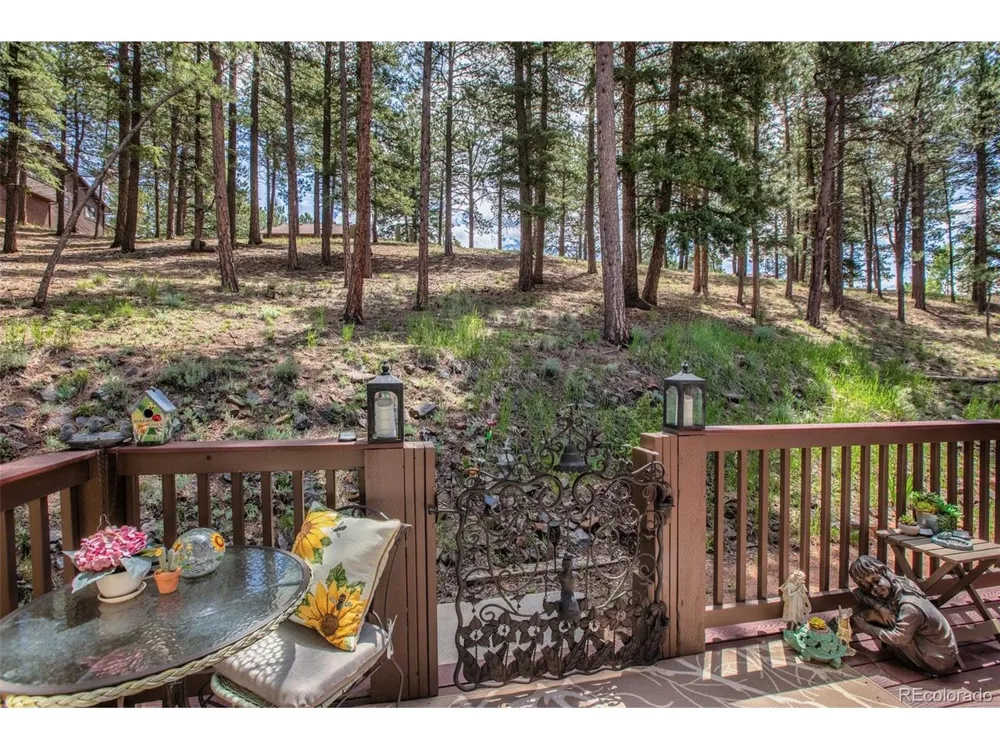 560 Manor Court Woodland Park, CO 80863