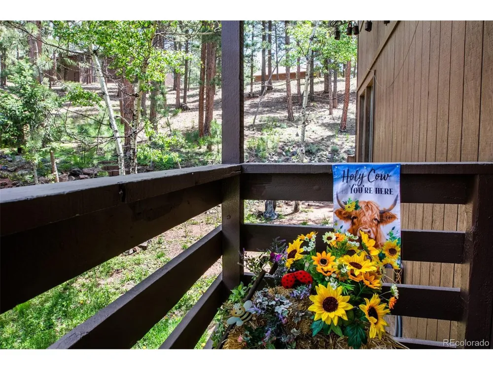 560 Manor Court Woodland Park, CO 80863