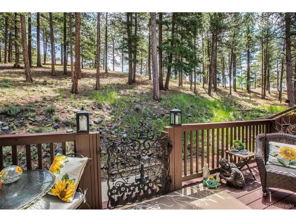 560 Manor Court Woodland Park, CO 80863