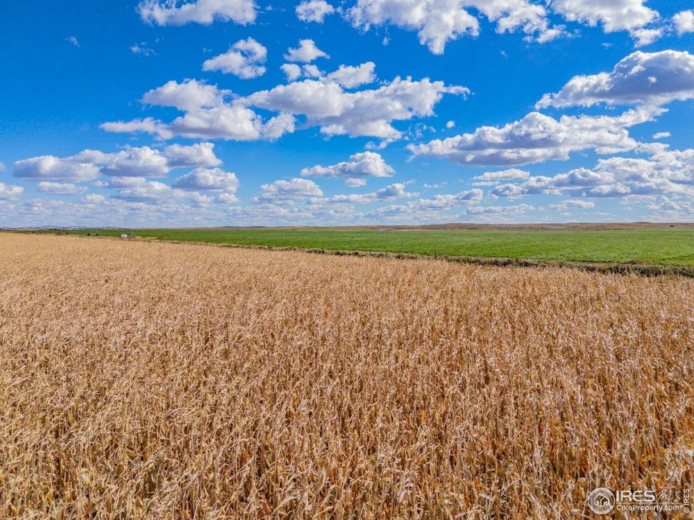 14805 County Road 12 Fort Morgan, CO 80701