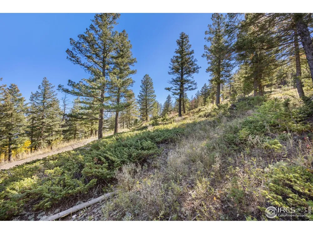 323 Roxbury Drive Boulder, CO 80302