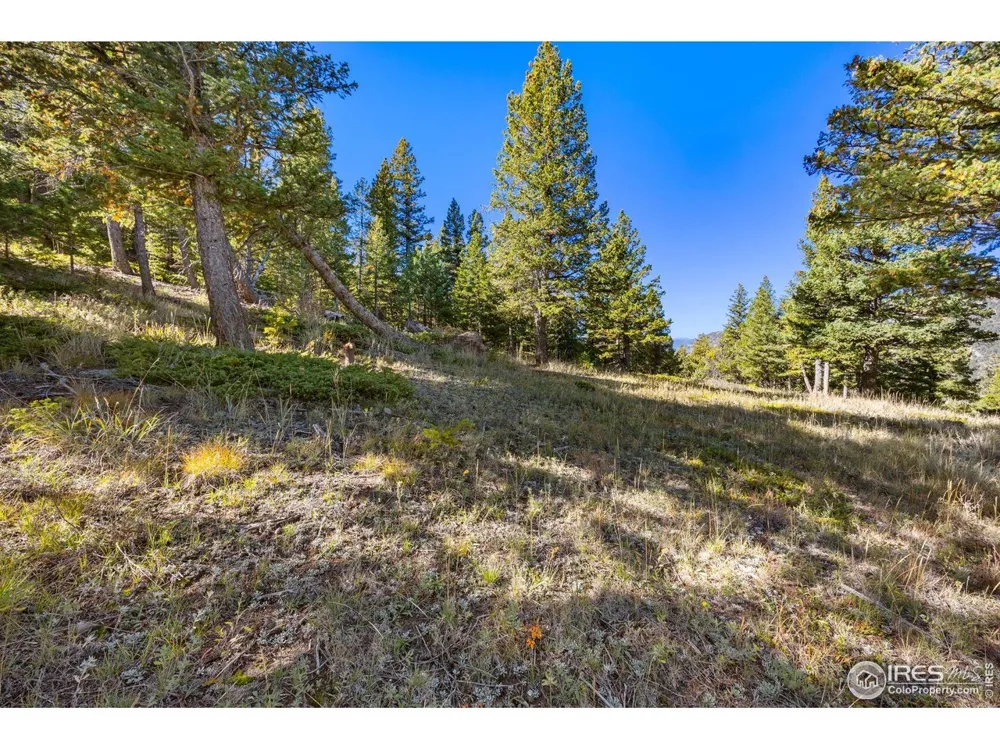 323 Roxbury Drive Boulder, CO 80302