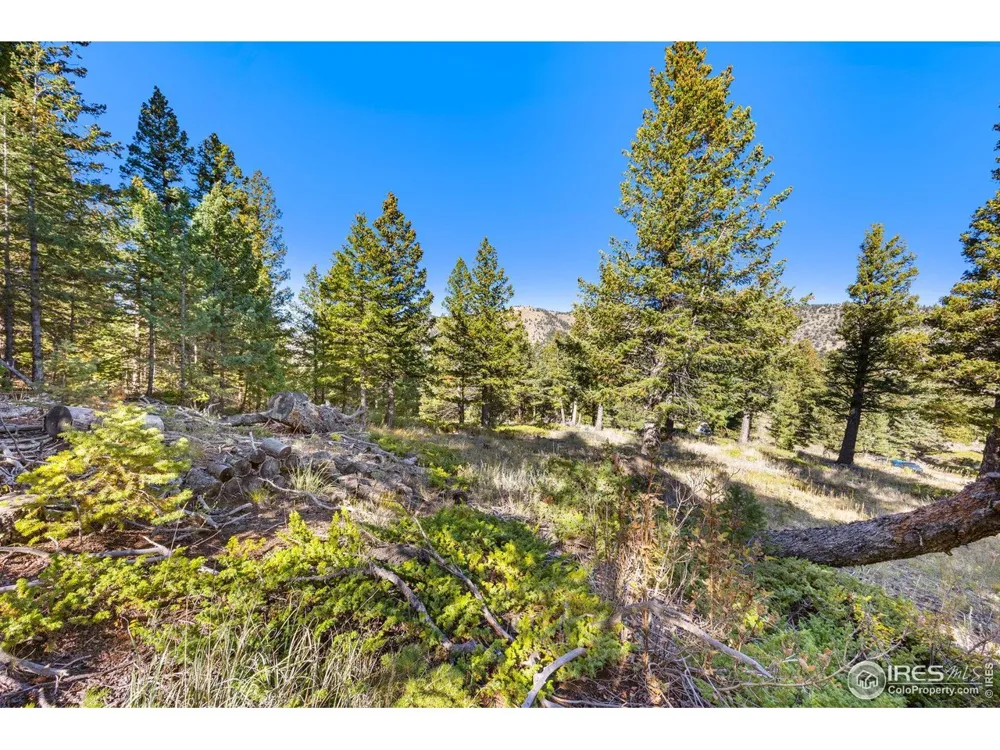 323 Roxbury Drive Boulder, CO 80302