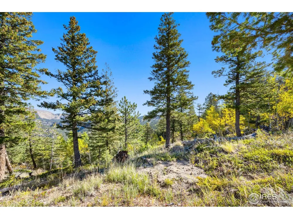 323 Roxbury Drive Boulder, CO 80302