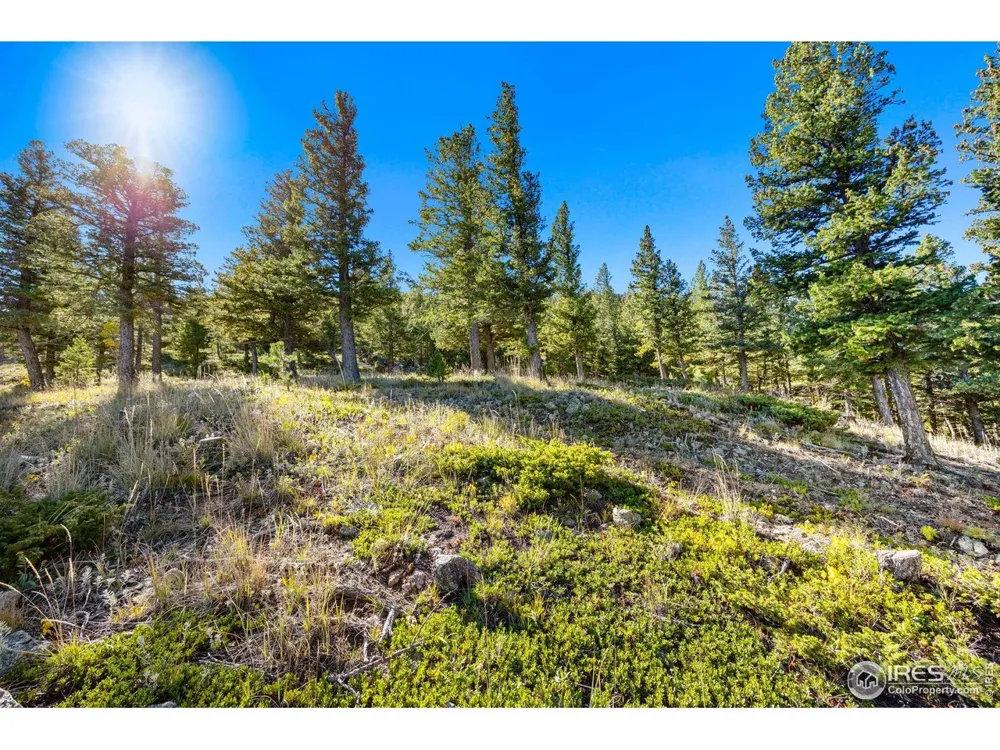 323 Roxbury Drive Boulder, CO 80302
