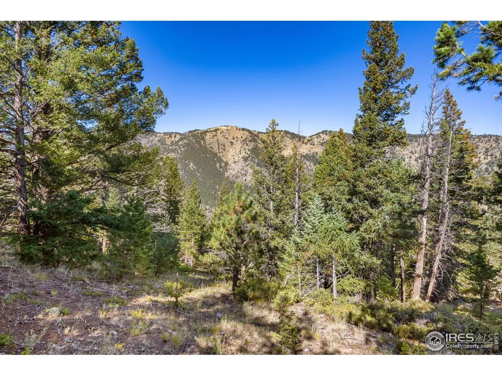323 Roxbury Drive Boulder, CO 80302
