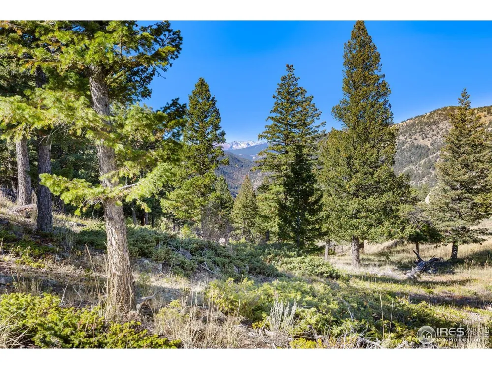 323 Roxbury Drive Boulder, CO 80302