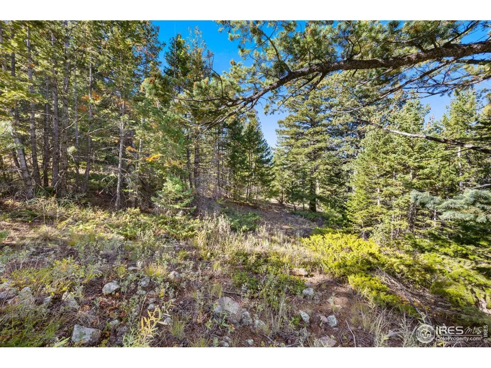 323 Roxbury Drive Boulder, CO 80302