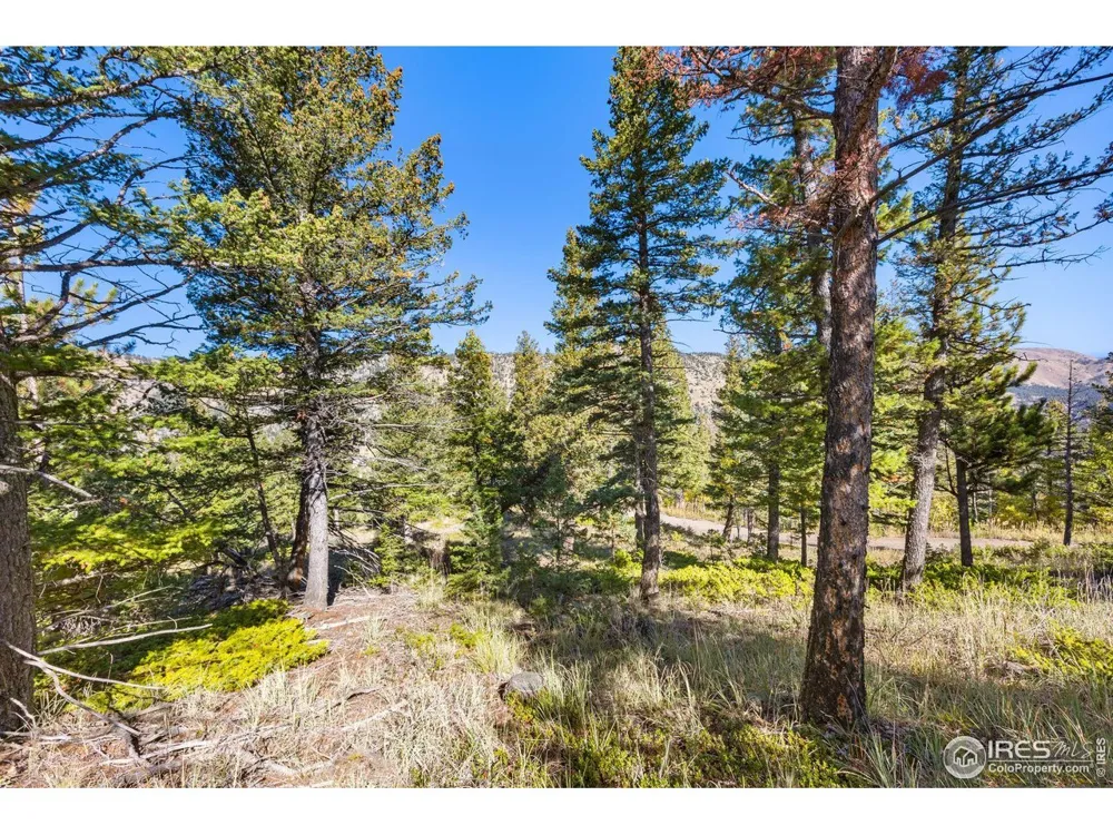 323 Roxbury Drive Boulder, CO 80302