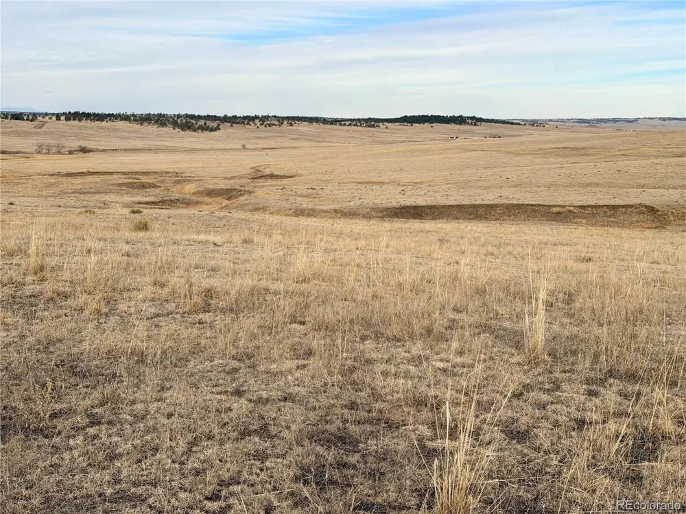 1 County Road 122 Ramah, CO 80832