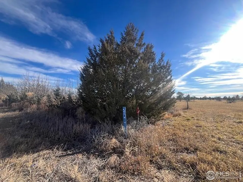 4952 County Rd H Wiggins, CO 80654