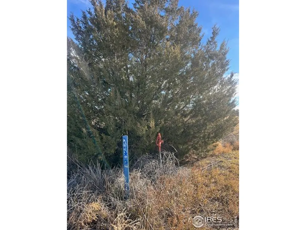 4956 County Rd H Wiggins, CO 80654