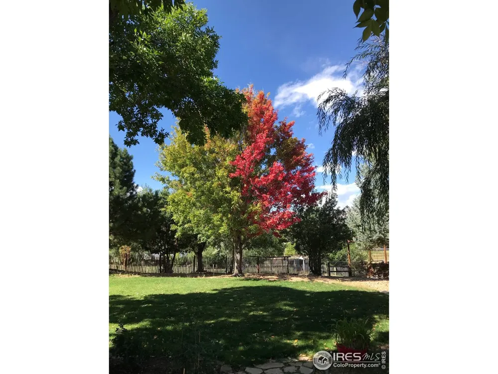 4963 Kelso Road Boulder, CO 80301