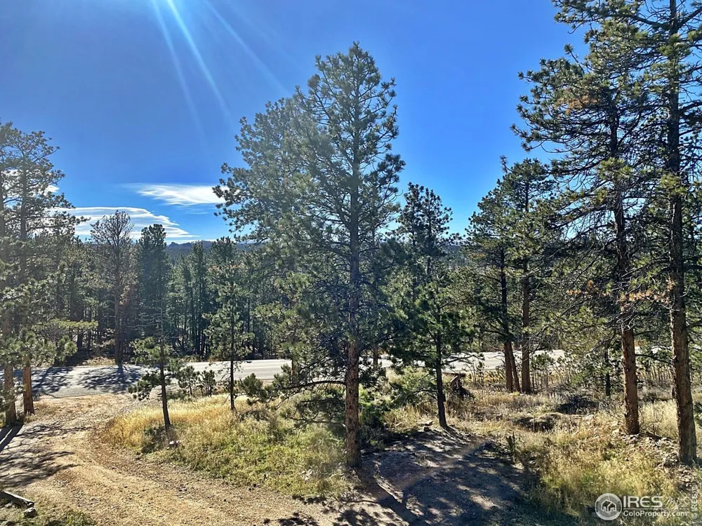 24192 W County Road 74e Red Feather Lakes, CO 80545