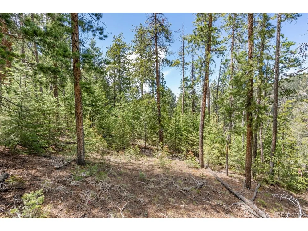 Lost Cabin Trail Evergreen, CO 80439