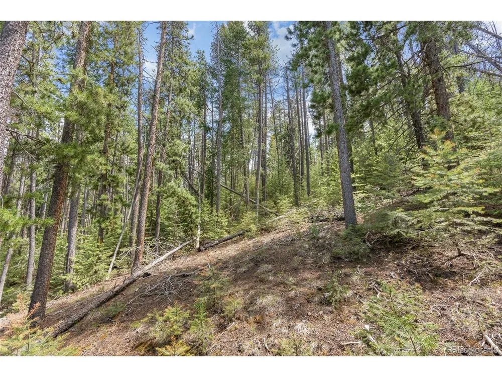Lost Cabin Trail Evergreen, CO 80439