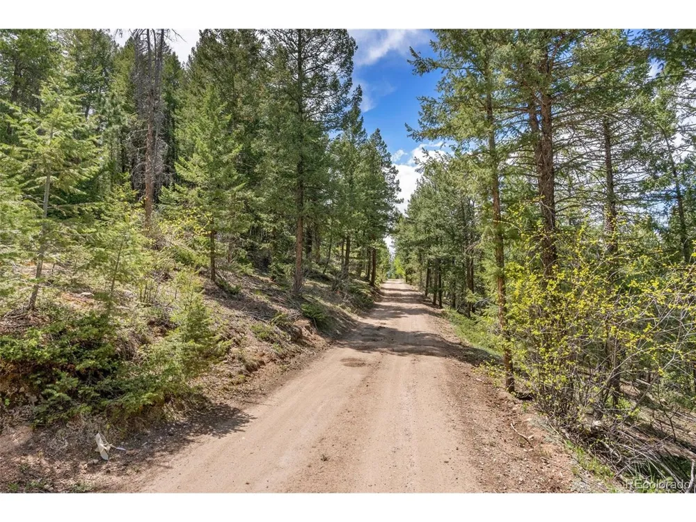 Lost Cabin Trail Evergreen, CO 80439