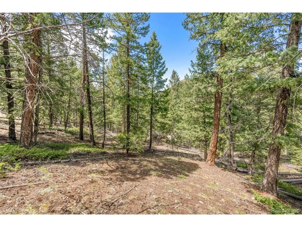Lost Cabin Trail Evergreen, CO 80439