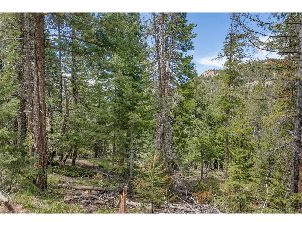 Lost Cabin Trail Evergreen, CO 80439