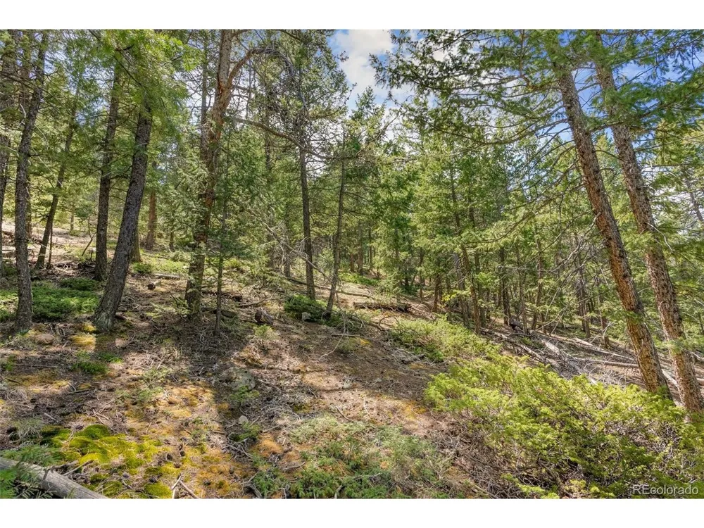 Lost Cabin Trail Evergreen, CO 80439