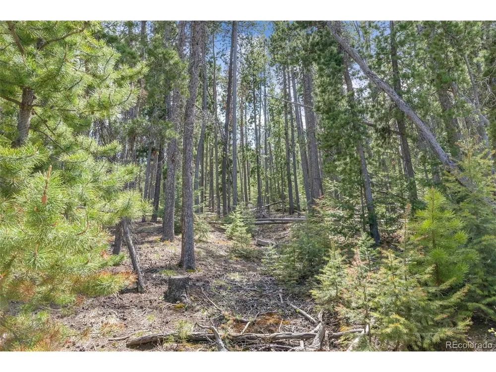 Lost Cabin Trail Evergreen, CO 80439