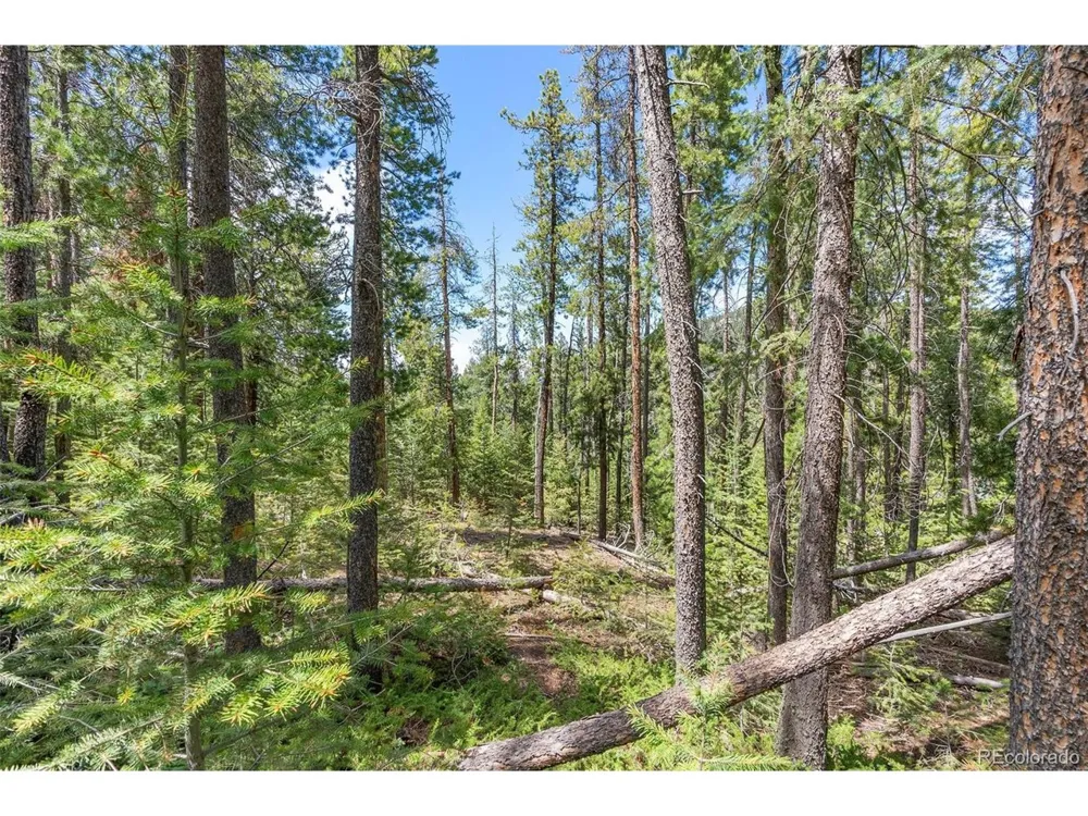 Lost Cabin Trail Evergreen, CO 80439