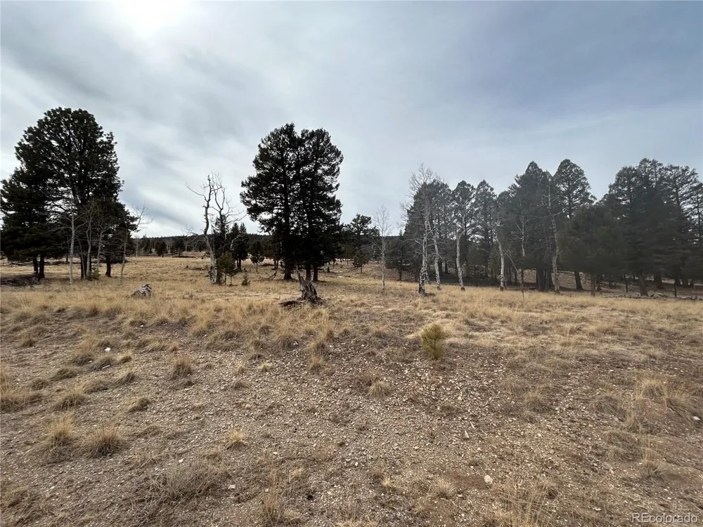 1421 Pitchfork Road Hartsel, CO 80449