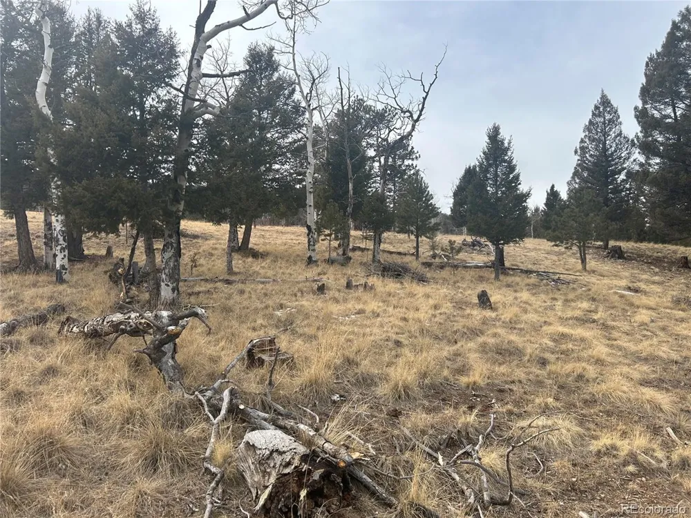 1421 Pitchfork Road Hartsel, CO 80449