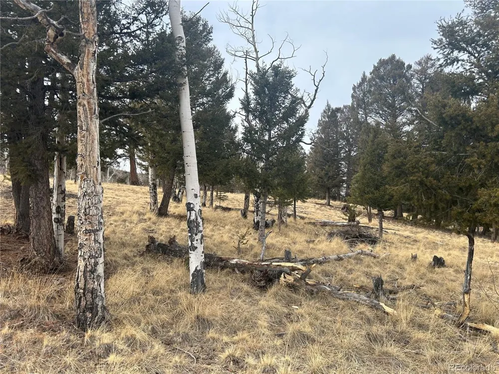 1421 Pitchfork Road Hartsel, CO 80449
