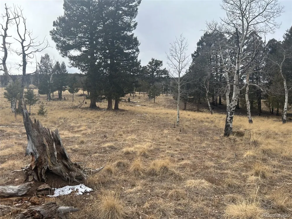 1421 Pitchfork Road Hartsel, CO 80449