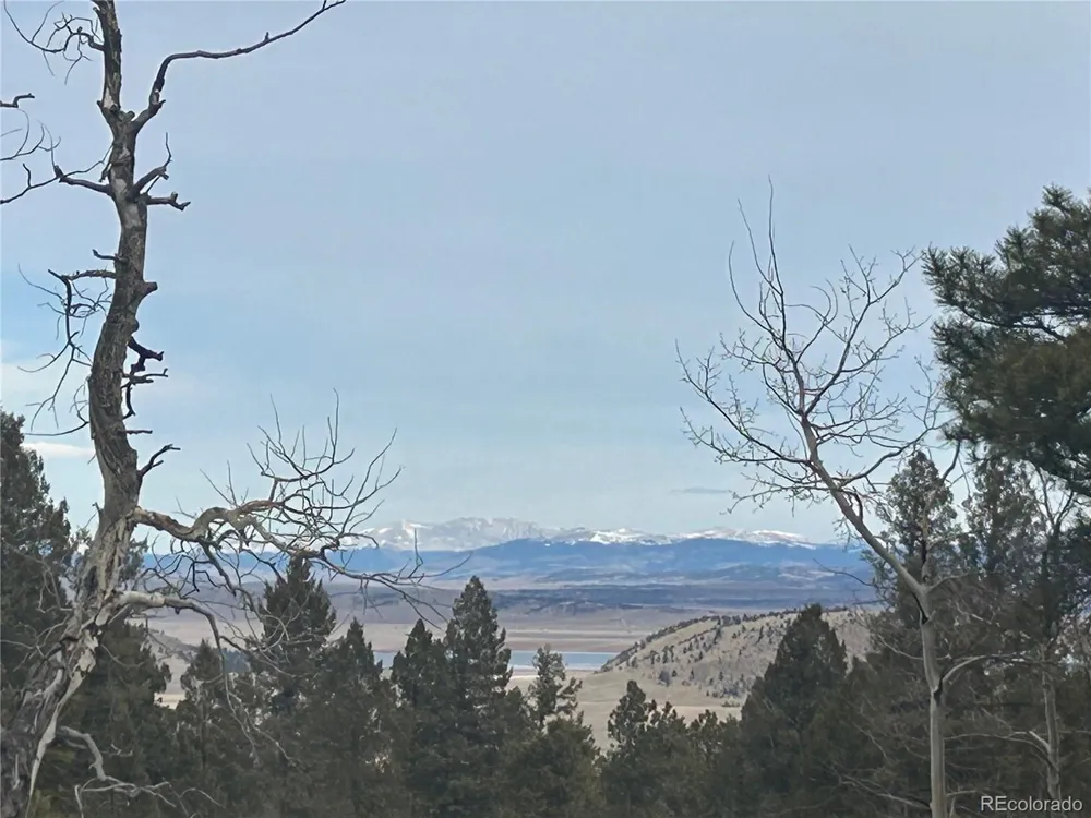 1421 Pitchfork Road Hartsel, CO 80449