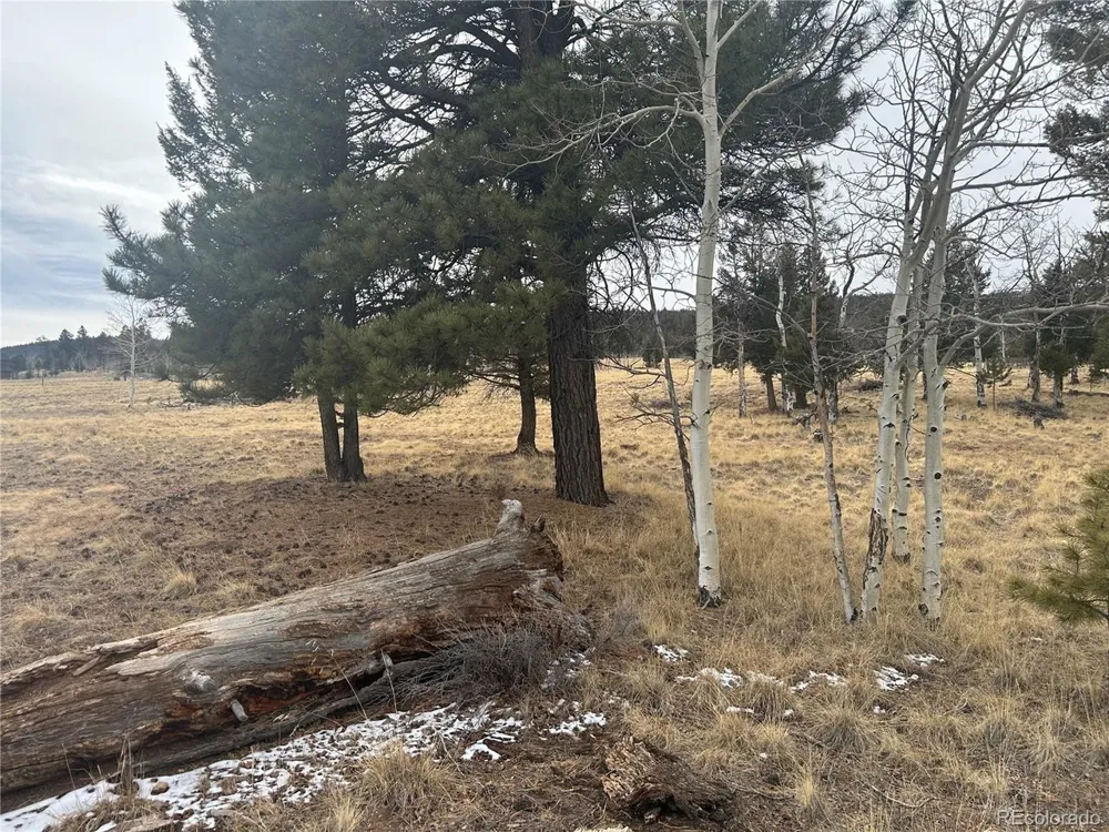 1421 Pitchfork Road Hartsel, CO 80449