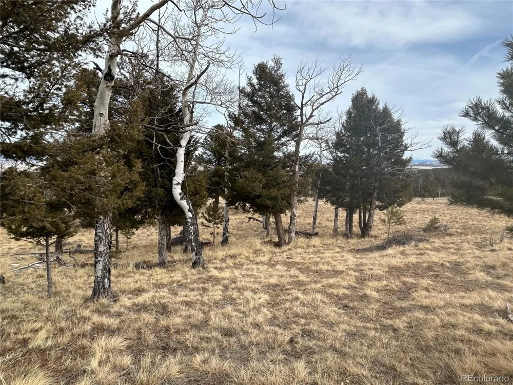 1421 Pitchfork Road Hartsel, CO 80449