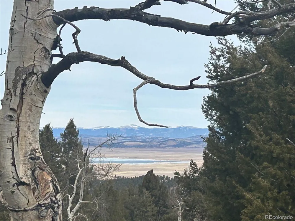 1421 Pitchfork Road Hartsel, CO 80449