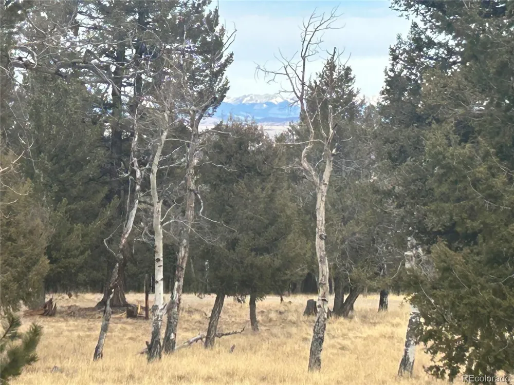 1421 Pitchfork Road Hartsel, CO 80449
