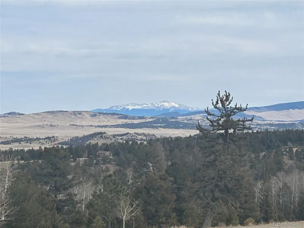 1421 Pitchfork Road Hartsel, CO 80449