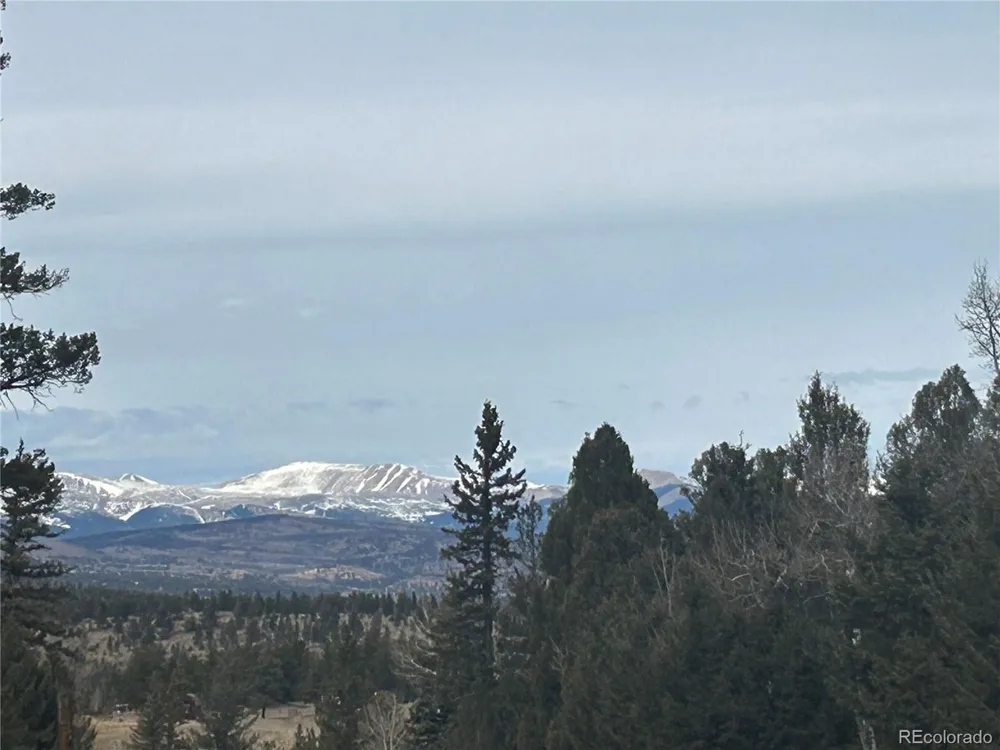 1421 Pitchfork Road Hartsel, CO 80449