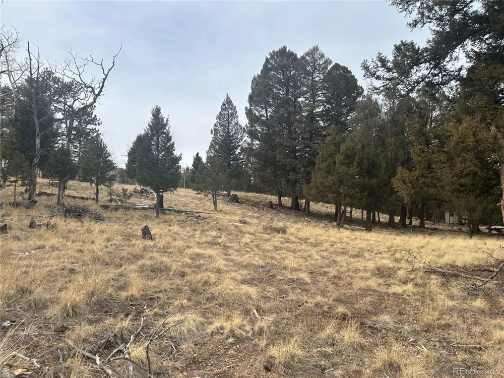 1421 Pitchfork Road Hartsel, CO 80449
