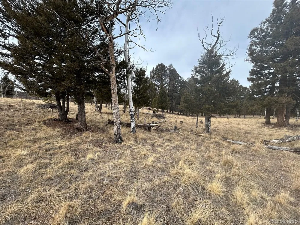1421 Pitchfork Road Hartsel, CO 80449