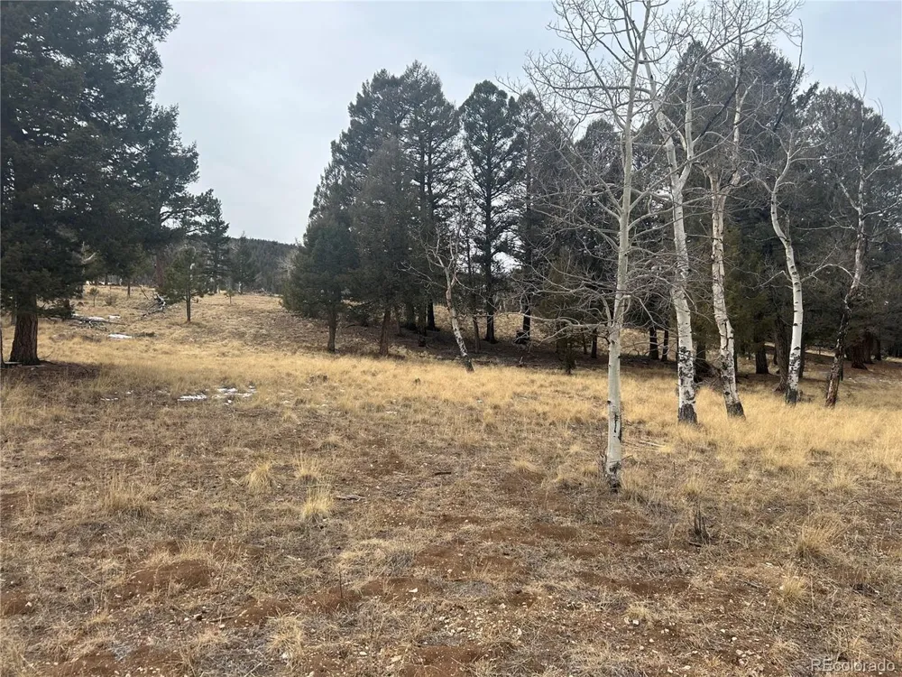 1421 Pitchfork Road Hartsel, CO 80449