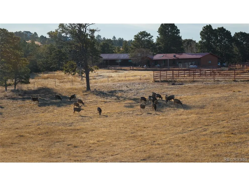 24063 CR 122 Ramah, CO 80832