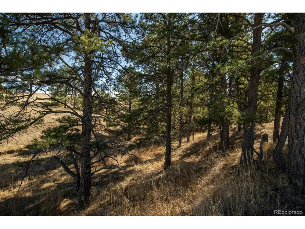 24063 CR 122 Ramah, CO 80832