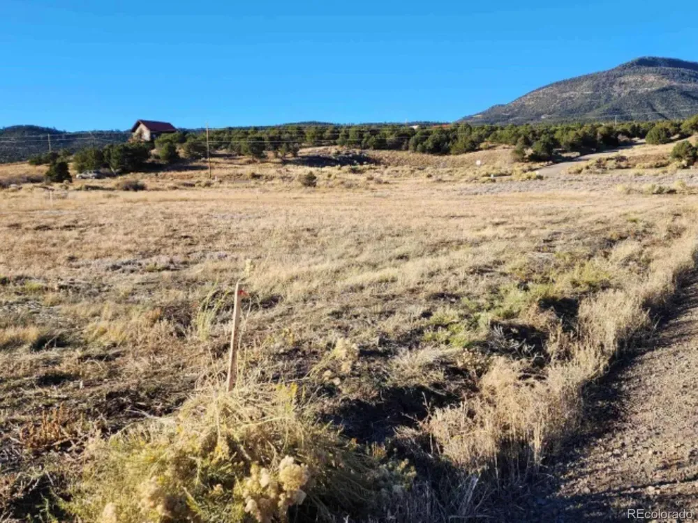 127 Brown's Road South Fork, CO 81154