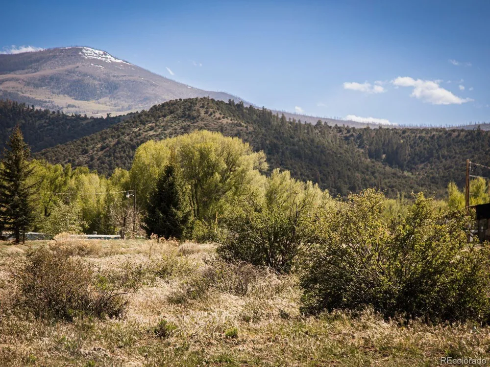 127 Brown's Road South Fork, CO 81154