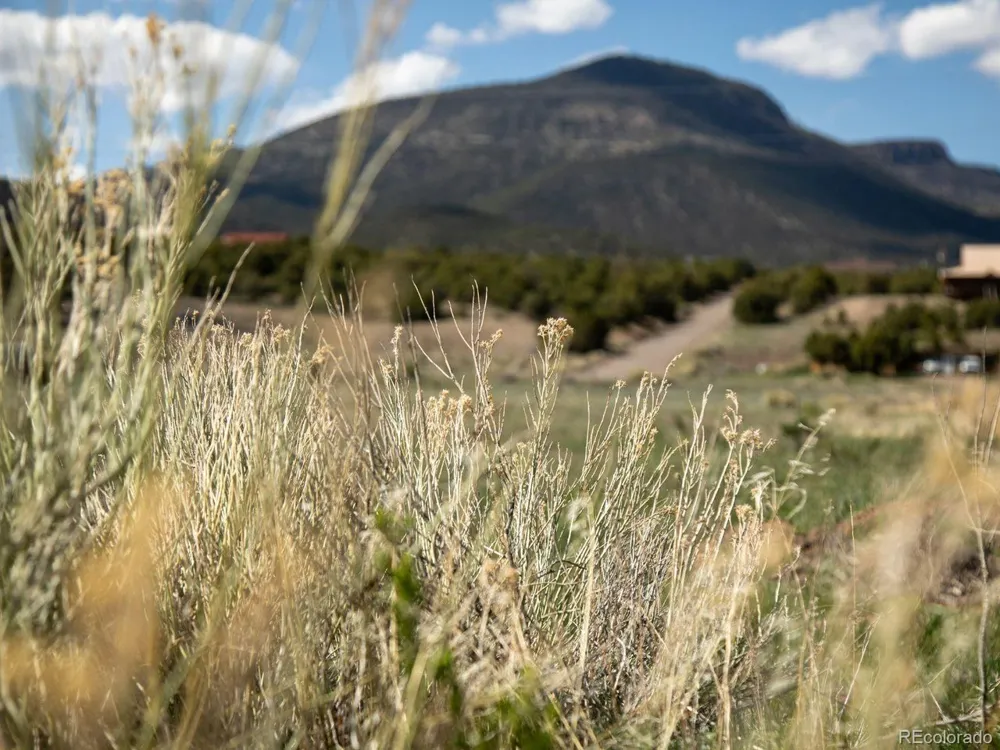 127 Brown's Road South Fork, CO 81154