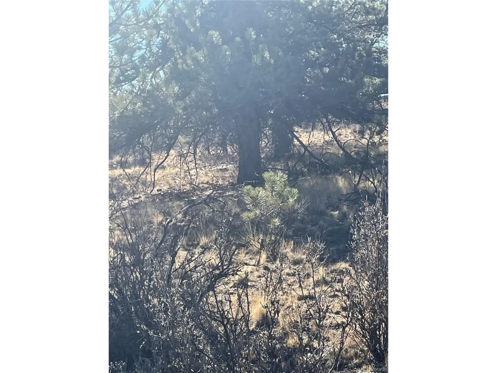 0 Oak Street Hartsel, CO 80449
