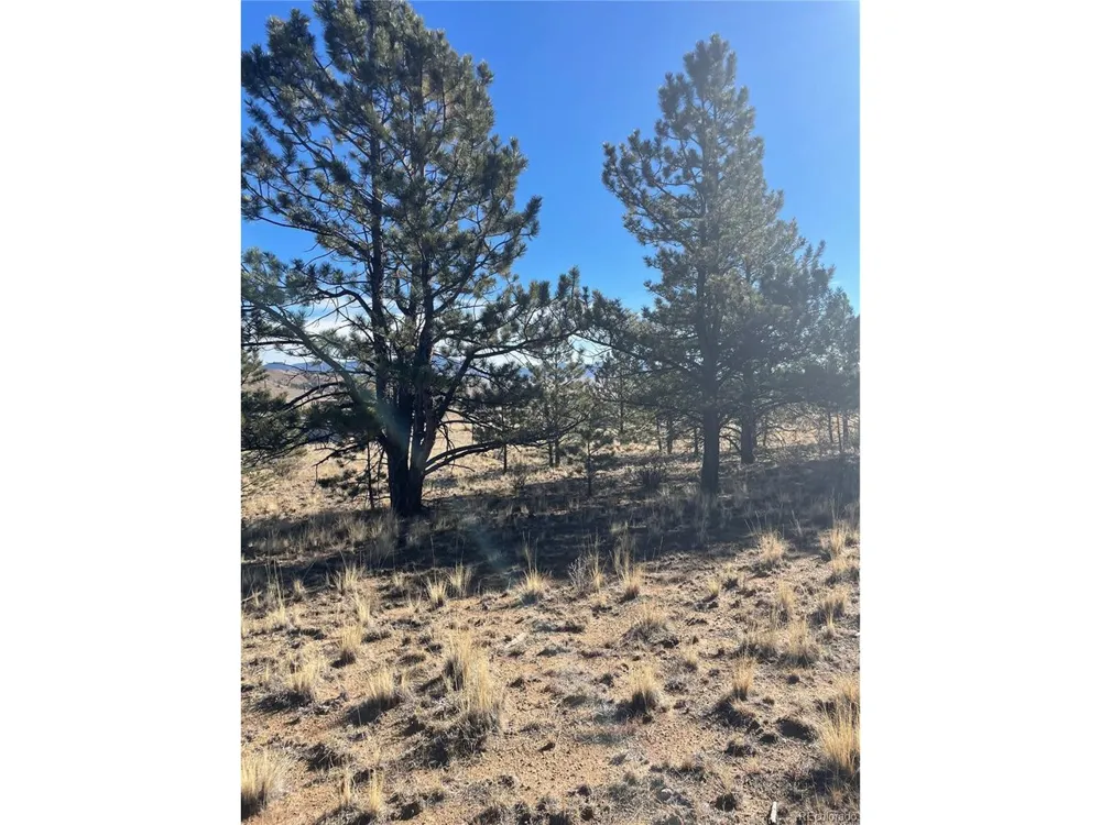 0 Oak Street Hartsel, CO 80449