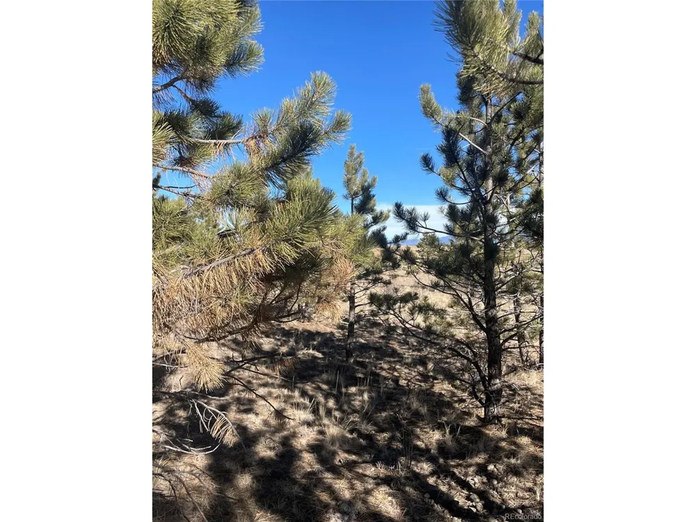 0 Oak Street Hartsel, CO 80449