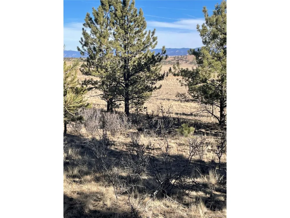 0 Oak Street Hartsel, CO 80449