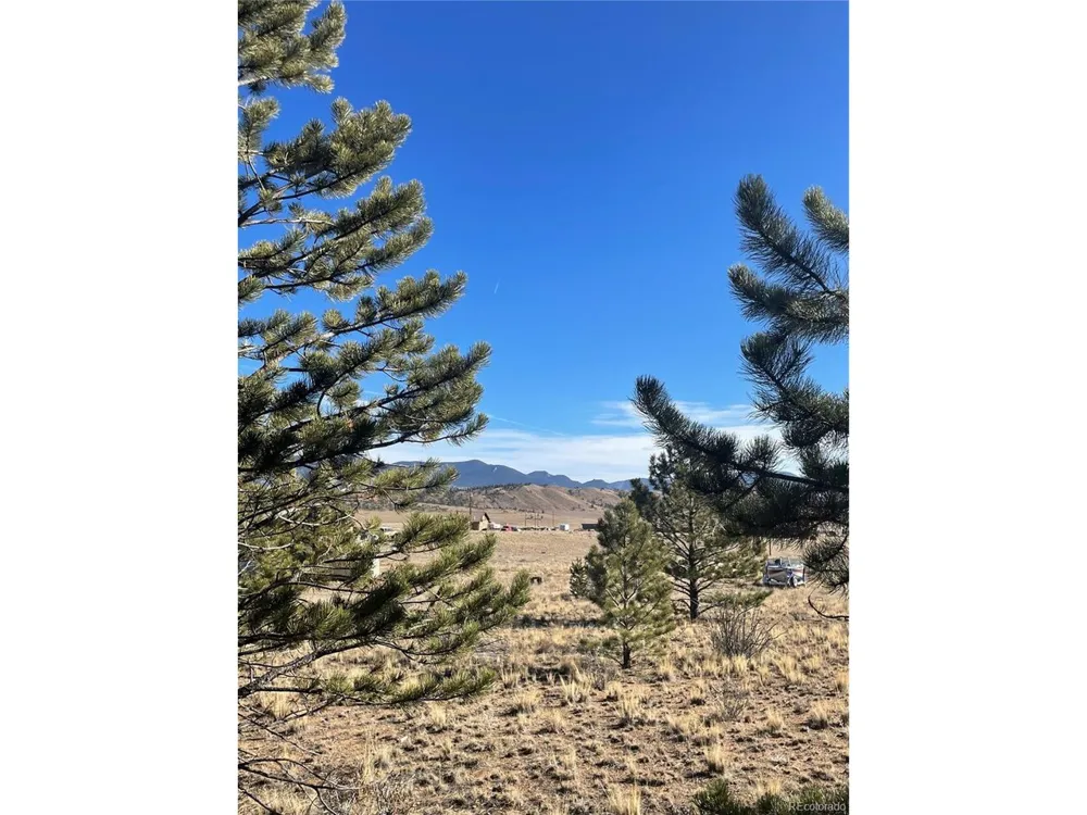 0 Oak Street Hartsel, CO 80449